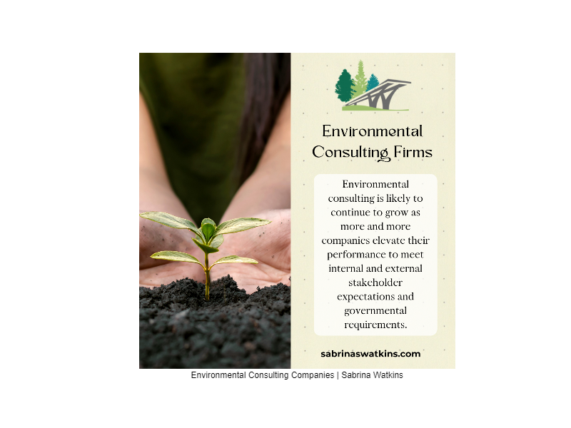 Environmental Consulting Firms | Sabrina Watkins