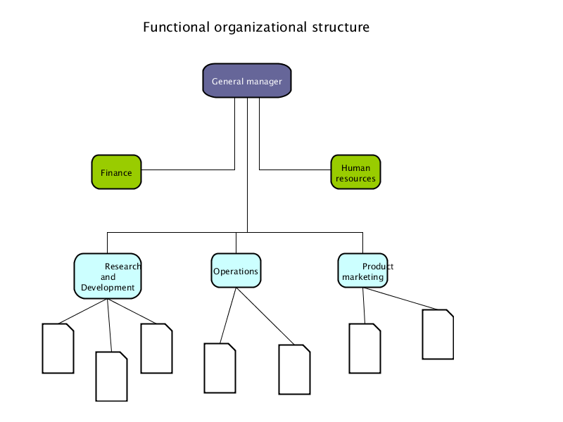 functional structure